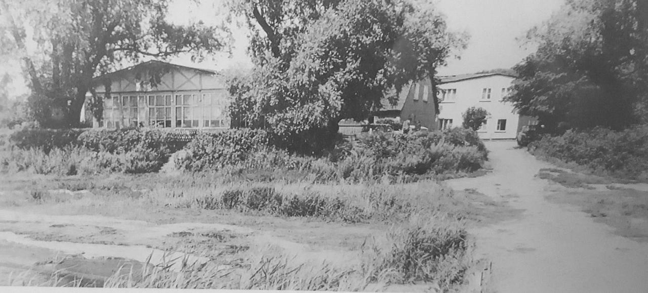 Inselhof Vineta Hotel Zempin Kültér fotó